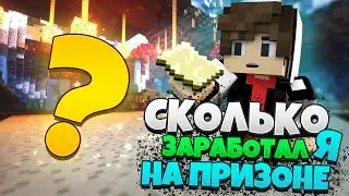 СКОЛЬКО Я ЗАРАБОТАЛ НА ПРИЗОНЕ? Prison VimeWorld!