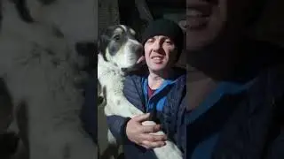 Бугай Алабай  Зрим в корень.