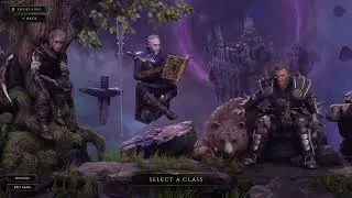 ShamefulPenguin Live Stream