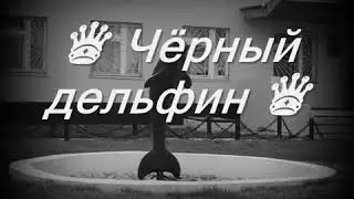 ЧЕРНЫЙ ДЕЛЬФИН BASSS