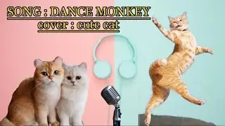 LUCU😃||DANCEMONKEY COVER CUTE CAT|LAGU VERSI KUCING ||KUCING NYANYI|| KUCING LUCU