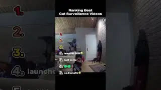 Ranking The Best Cat Surveillance Videos