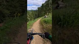 Unreal views on this ridgeline trail!