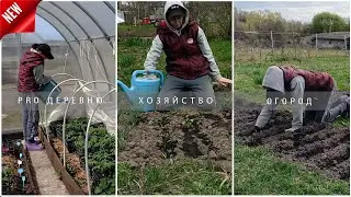 👩‍🌾Мой день в деревне:🌱🍅 Сажаю Огород 🍎 Рассада🐔 Куры 