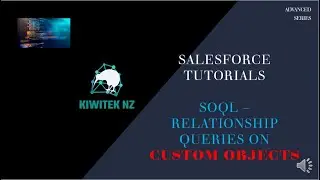 Salesforce - Write SOQL Relationship Query on Custom Objects