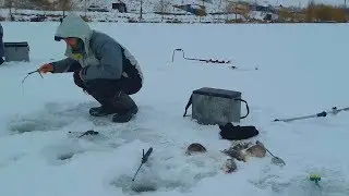 Первые караси этого сезона. Ловля карася зимой на пруду.