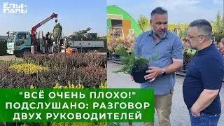 Подслушано разговор двух руководителей питомника ЁЛЫ ПАЛЫ