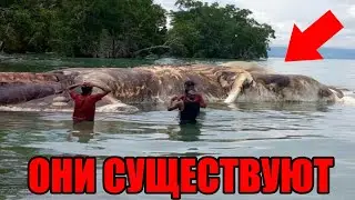 УБЕРИТЕ ДЕТЕЙ !!! ТАЙНА ОКЕАНА РАСКРЫТА !!! ОНИ СУЩЕСТВУЮТ !!!! 23.04.2022!!!