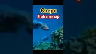 Озеро Лабынкыр!! Кто обитает в его глубинах? СМОТРИТЕ ПОЛНОЕ ВИДЕО! 