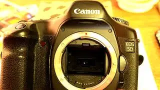 Canon 5d mirror repair