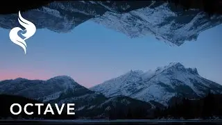 What is the Octave?