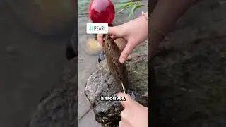 LES PERSONNES LES PLUS CHANCEUSE DU MONDE !