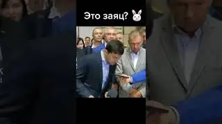 АЛЛО!! Это заяц? ржал 10лет подряд🤣🤣🤣🤣🤣 