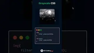 Grayscale image in css #codechallenge #coding #frontend #webdesign #mrcodding #shorts