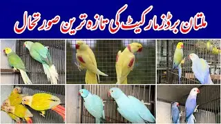 Multan Sunday Birds Rasheedabad latest Update 21 july 2024