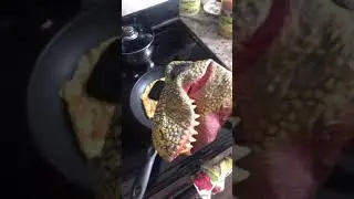 DINOSAUR PUPPET MAKING BREAKFAST- CHEF!!!