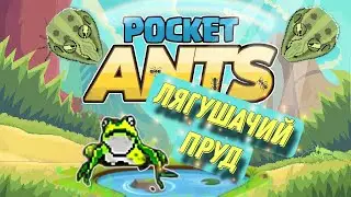 Pocket Ants | 100% инфа!!! | Скоро ЛЕГЕНДАРНАЯ ЯДОВИТАЯ ЖАБА