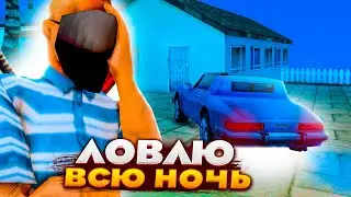 СЛОВИЛ 3 ДОМА за 3 ЧАСА - ВСЮ НОЧЬ ЛОВЛЮ ДОМА на ARIZONA RP (samp)