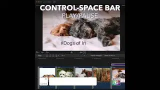 Final Cut Pro Shortcut | Control-Space Bar | Play/Pause