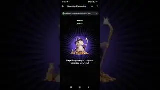 Комбо карты Hamster Kombat 16 - 17 августа 2024: карты, секреты и как найти комбо сегодня в Хомяке