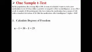 One Sample t-Test