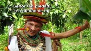 Señor ten piedad
