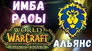 Какую расу выбрать? | Альянс | WoW Classic TBC