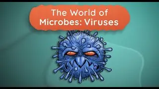 The World of Microbes: Viruses
