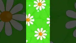 Футаж вертикальный для андроида.  Для монтажа Для текста 59 сек зеленый.Ромашки.  без звука.