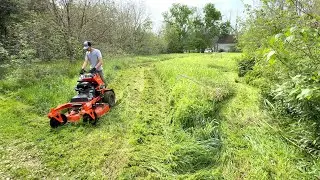 LOCAL LAWN GUYS wouldn't even THINK about taking on this job