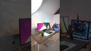 Software Engineer Desk Essentials 