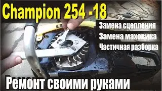 Бензопила Champion 254 Частичсная разборка бензопилы