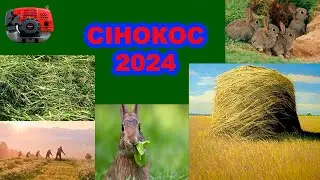 СІНОКОС 2024, КОСИМО ОВЕС НА СІНО У ДЄДА ТОЛІ, МОТОКОСОЮ VITALS