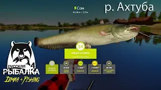 РУССКАЯ РЫБАЛКА 4. ЩУКА 🐬 СОМ 🐋 ВОТ ЭТА ДА !!!