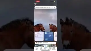 ИИ ChatGPT в телефоне бесплатно от Bing MS