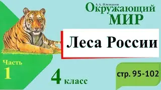Леса России. Окружающий мир. 4 класс, 1 часть. Учебник А. Плешаков стр. 95-102