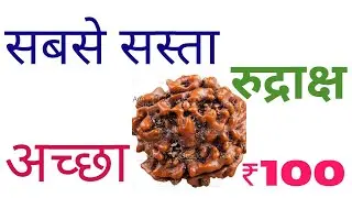 सबसे अच्छा सबसे सस्ता रुद्राक्ष कैसे पाएं/identify Real Rudraksh/क्या असली रुद्राक्ष/hindi