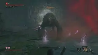 Sekiro: Shadows Die Twice - Guardian Ape and girlfriend