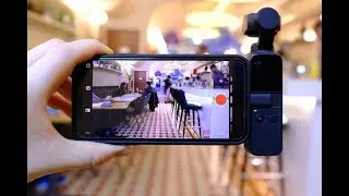 DJI Osmo Pocket Быстрый гайд для начинающих