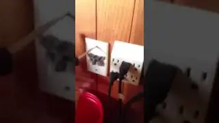 О УЖАС ! 😪 🐭 🙈