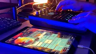 4 Dreamy Koala Sampler & SP404 MK2 Beats | How I Made Them with Official Integration
