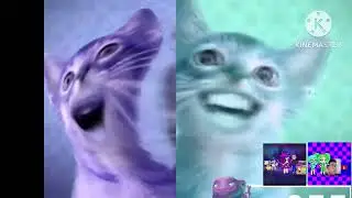 Preview 2 numa cat 2022 V3 effects 2 combined