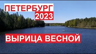 #Вырица весной 2023 | Красивейшие места Питера