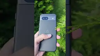 Дешёвый Pixel или навороченный Xiaomi?