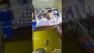 Когда утро по настоящему доброе! 🎣😆👍
