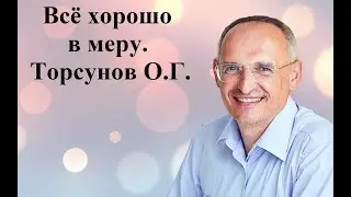 Всё хорошо в меру. Торсунов О.Г.