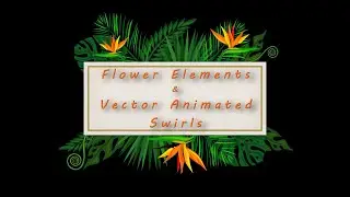 Floral Elements & Vector Animated Swirls Pack 1