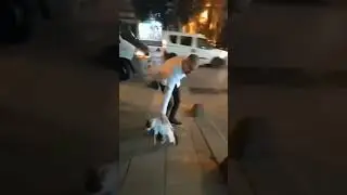 Пусти меня, кожаный, я ему втащу! 🐱