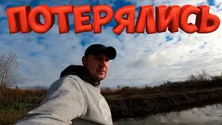 БАРАШКИ  УШЛИ В ЛЕС И НЕ ВЕРНУЛИСЬ ! ИНТЕРНЕТ В ДЕРЕВНЕ ! [Жизнь в деревне]