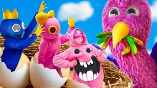 Garten of Ban Ban против Roblox Rainbow Friends! Строим домик для Opila Bird и Chef Pigster!